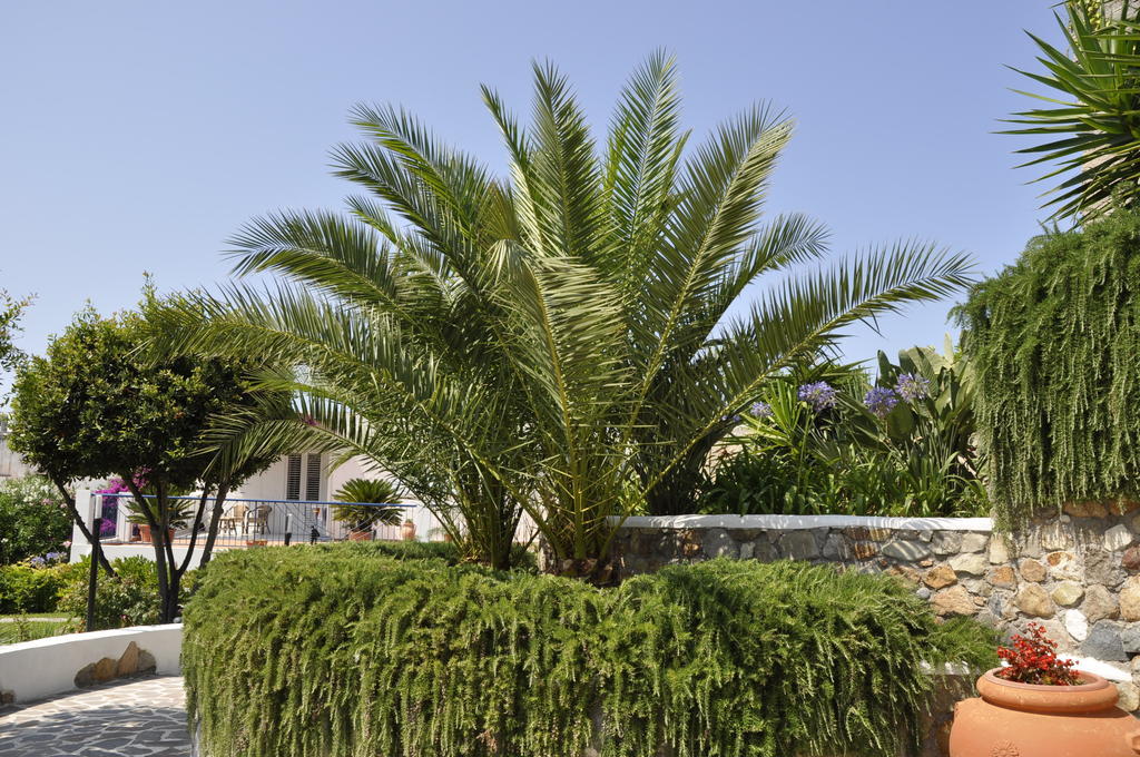 Il Mediterraneo - Adults Only Ponza Exterior foto